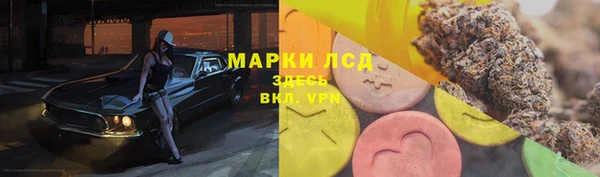 ПСИЛОЦИБИНОВЫЕ ГРИБЫ Снежинск