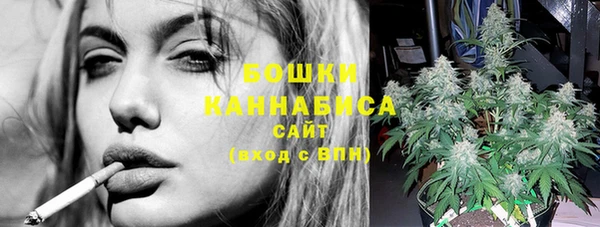 ПСИЛОЦИБИНОВЫЕ ГРИБЫ Алексин