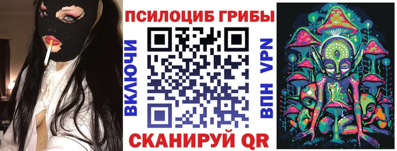 Галлюциногенные грибы GOLDEN TEACHER  площадка какой сайт  Котельники  OMG рабочий сайт 