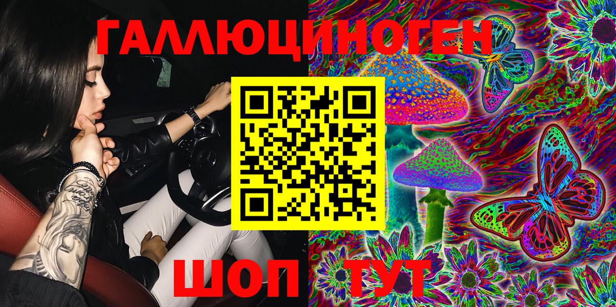 Псилоцибиновые грибы Psilocybine cubensis Котельники