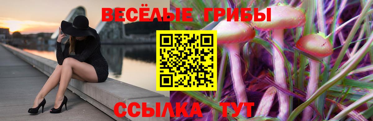 Псилоцибиновые грибы Cubensis  Псилоцибиновые грибы Magic Shrooms  где купить   Вход с VPN  Котельники 